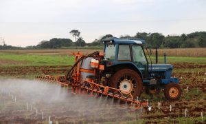 'Matador de abelhas': conheça o agrotóxico que sofreu restrições pelo Ibama