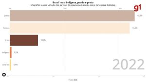 Entenda quais foram os significados de 'pardo' nos últimos 80 anos e como isso dificultou a identificação racial do Brasil